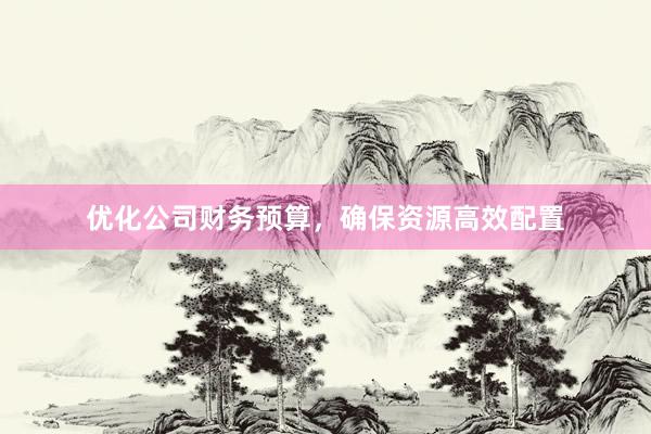 优化公司财务预算，确保资源高效配置