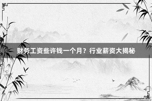财务工资些许钱一个月？行业薪资大揭秘