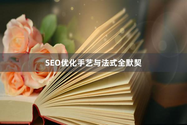 SEO优化手艺与法式全默契