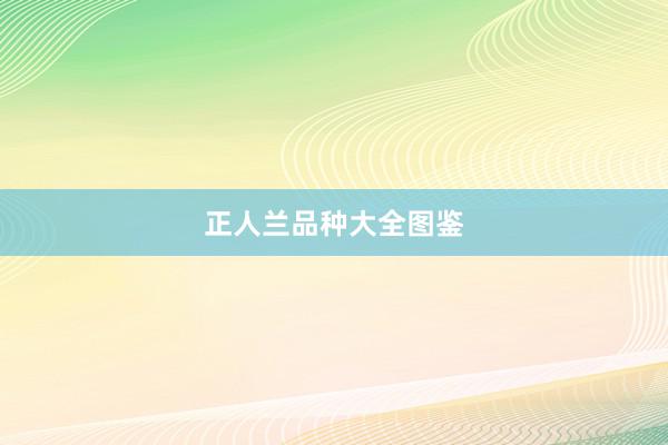 正人兰品种大全图鉴