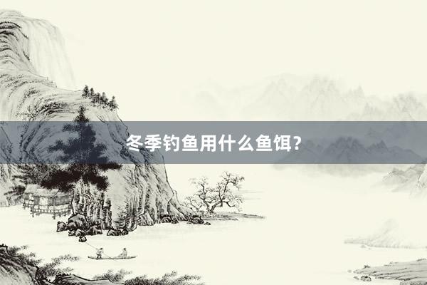 冬季钓鱼用什么鱼饵？